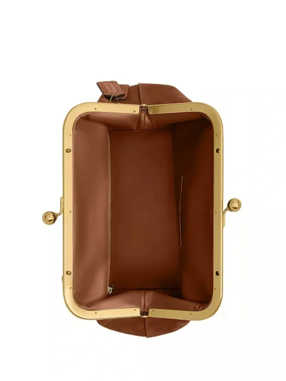 Coach frame bag